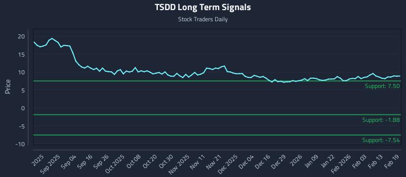 TSDD Long Term Analysis for February 20 2026 TSDD Long Term Analysis for February 20 2026