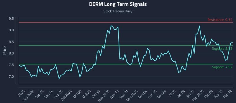 DERM Long Term Analysis for February 20 2026 DERM Long Term Analysis for February 20 2026