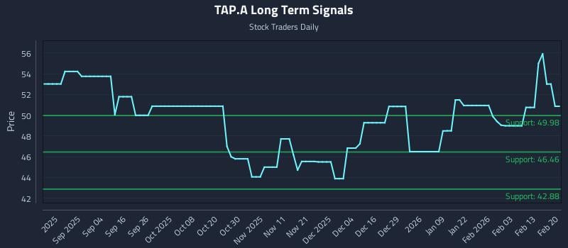 TAP.A Long Term Analysis for February 20 2026 TAP.A Long Term Analysis for February 20 2026