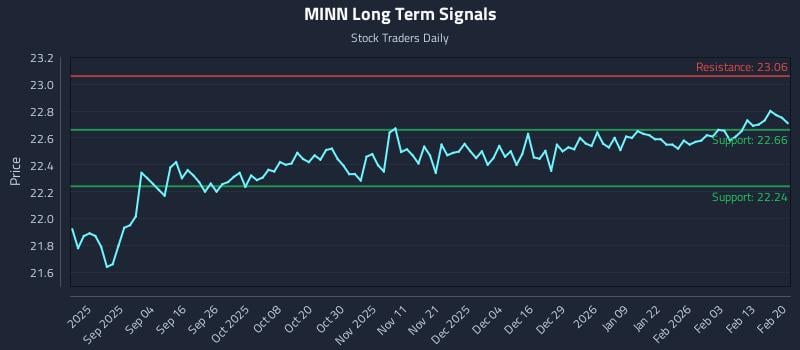 MINN Long Term Analysis for February 20 2026