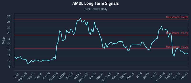 AMDL Long Term Analysis for February 20 2026