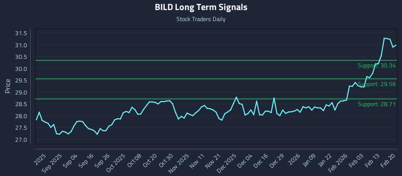 BILD Long Term Analysis for February 20 2026