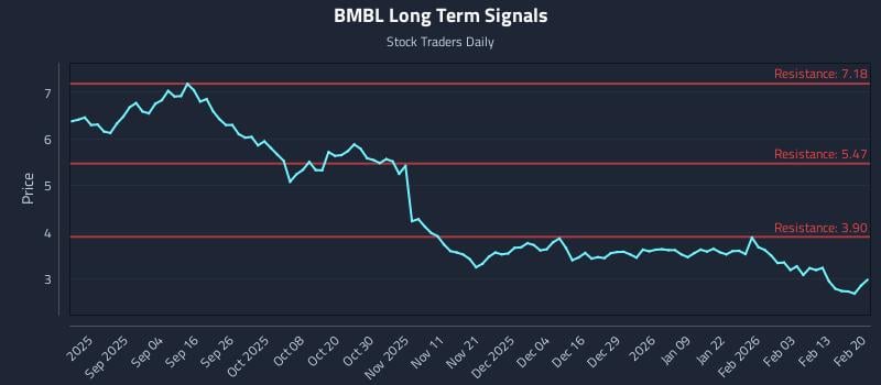 BMBL Long Term Analysis for February 20 2026