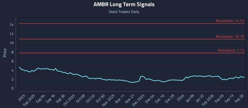 AMBR Long Term Analysis for February 20 2026