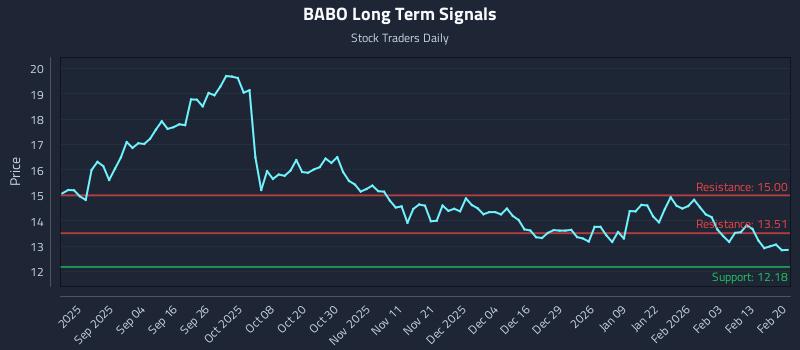 BABO Long Term Analysis for February 20 2026