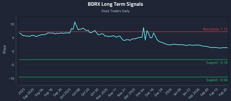 BDRX Long Term Analysis for February 20 2026