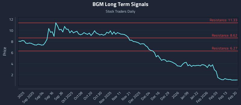 BGM Long Term Analysis for February 20 2026