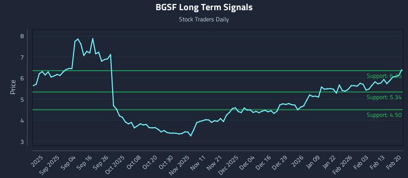 BGSF Long Term Analysis for February 20 2026