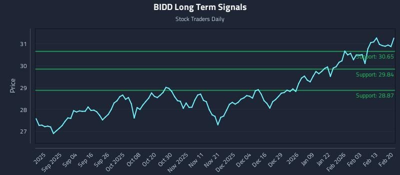 BIDD Long Term Analysis for February 20 2026 BIDD Long Term Analysis for February 20 2026