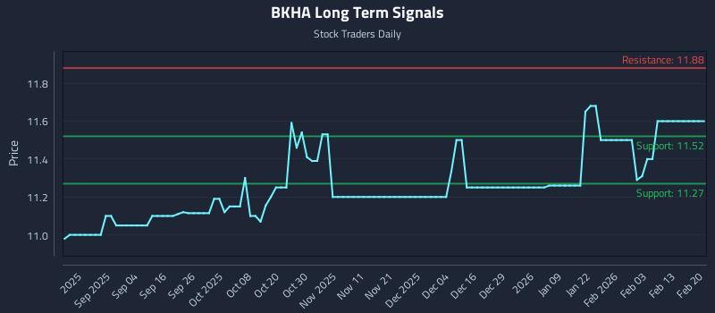 BKHA Long Term Analysis for February 20 2026