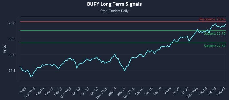 BUFY Long Term Analysis for February 20 2026