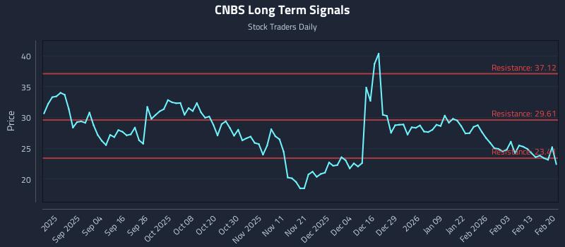 CNBS Long Term Analysis for February 20 2026
