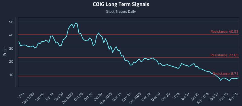 COIG Long Term Analysis for February 20 2026