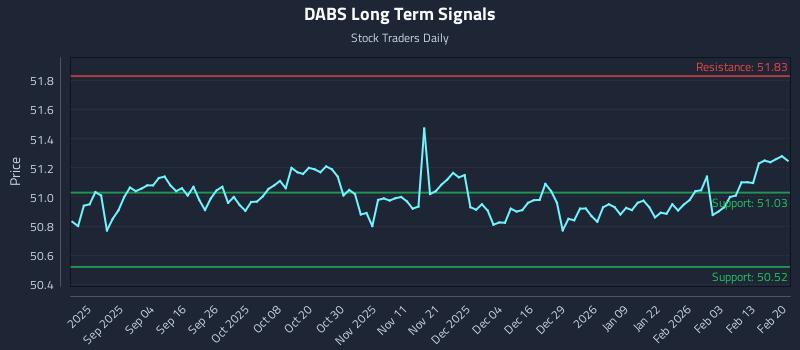 DABS Long Term Analysis for February 20 2026