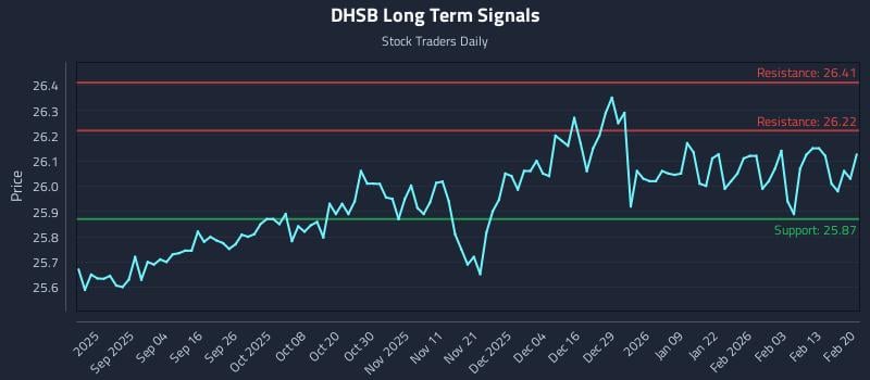 DHSB Long Term Analysis for February 20 2026