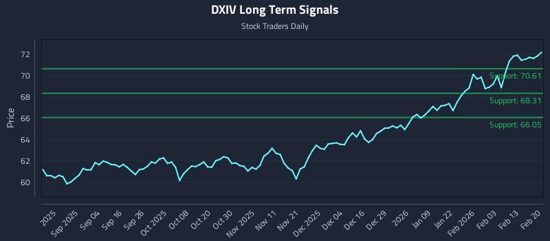 DXIV Long Term Analysis for February 20 2026