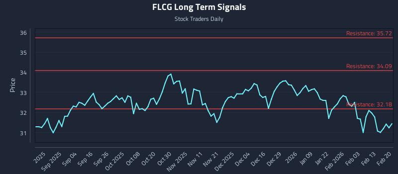 FLCG Long Term Analysis for February 21 2026