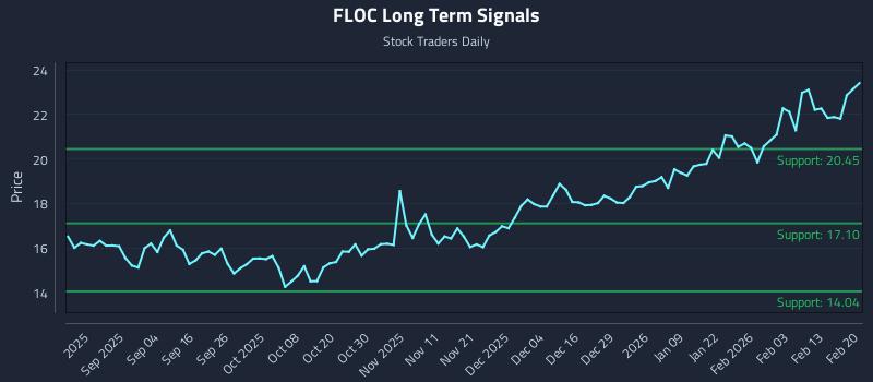 FLOC Long Term Analysis for February 21 2026