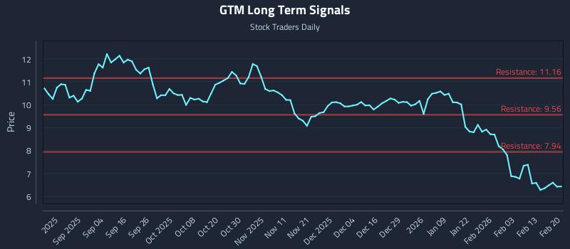 GTM Long Term Analysis for February 21 2026