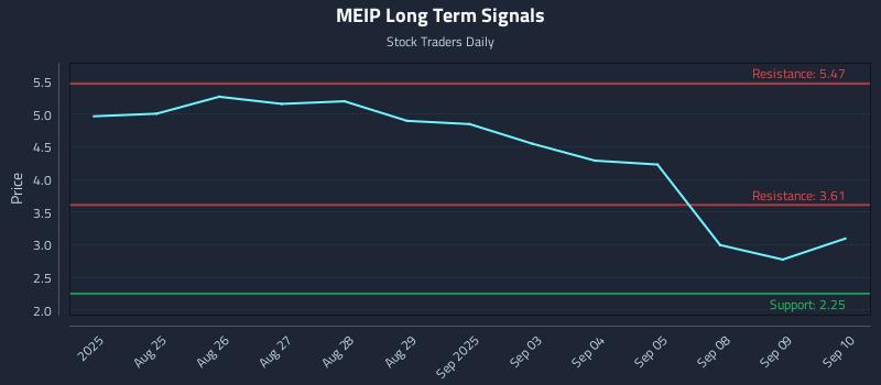 MEIP Long Term Analysis for February 21 2026
