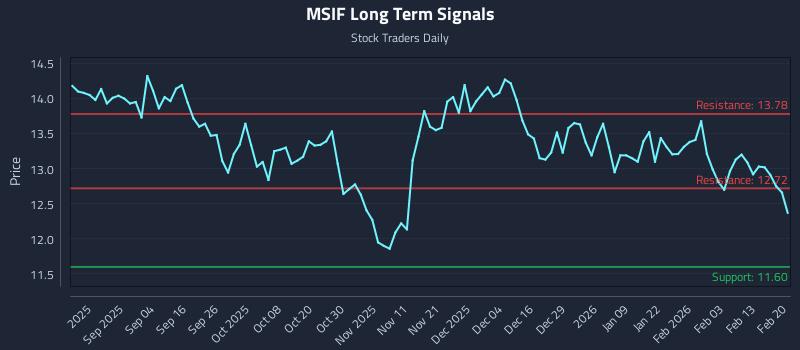 MSIF Long Term Analysis for February 21 2026 MSIF Long Term Analysis for February 21 2026