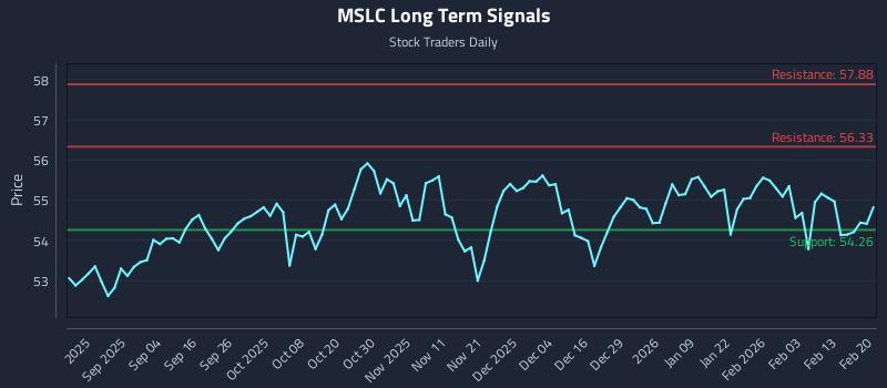 MSLC Long Term Analysis for February 21 2026