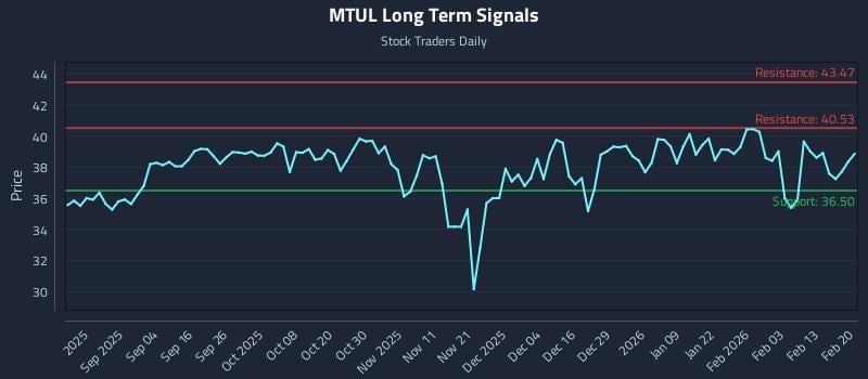 MTUL Long Term Analysis for February 21 2026