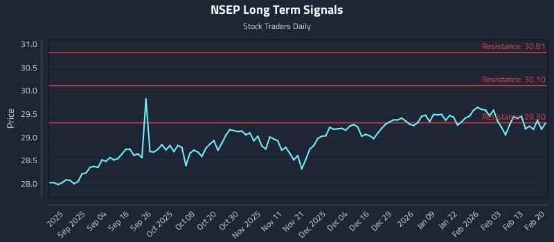 NSEP Long Term Analysis for February 21 2026 NSEP Long Term Analysis for February 21 2026