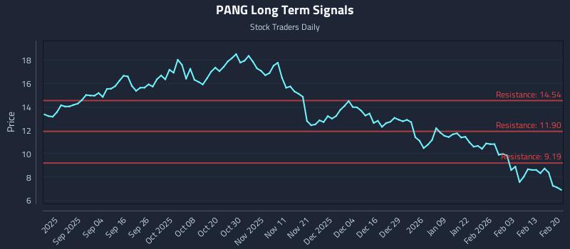 PANG Long Term Analysis for February 21 2026
