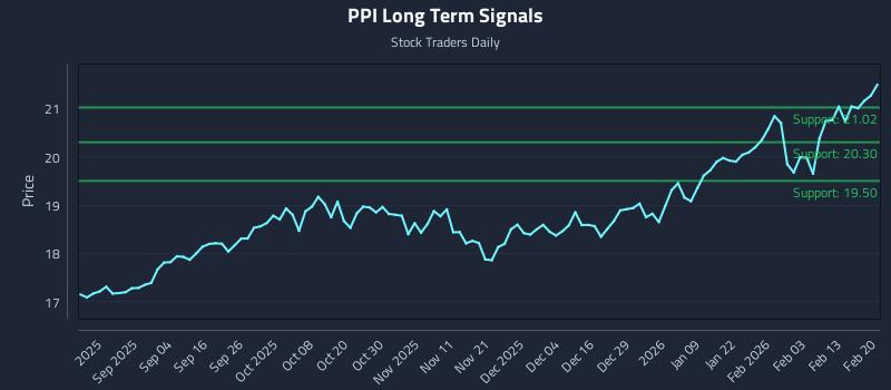 PPI Long Term Analysis for February 21 2026