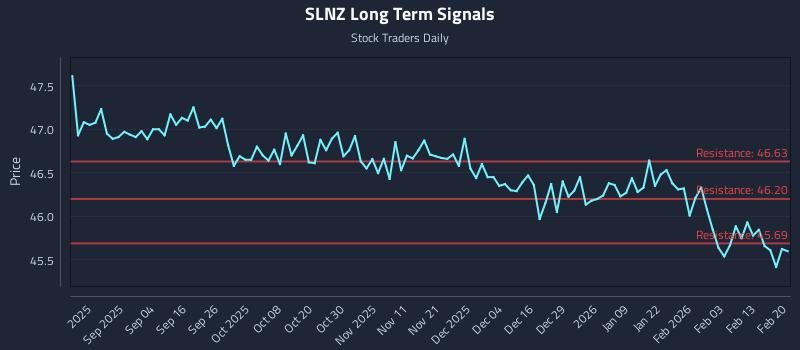 SLNZ Long Term Analysis for February 21 2026
