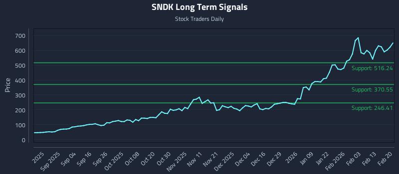 SNDK Long Term Analysis for February 21 2026