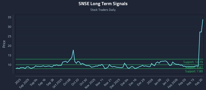 SNSE Long Term Analysis for February 21 2026
