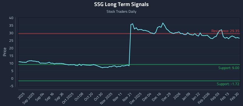 SSG Long Term Analysis for February 21 2026