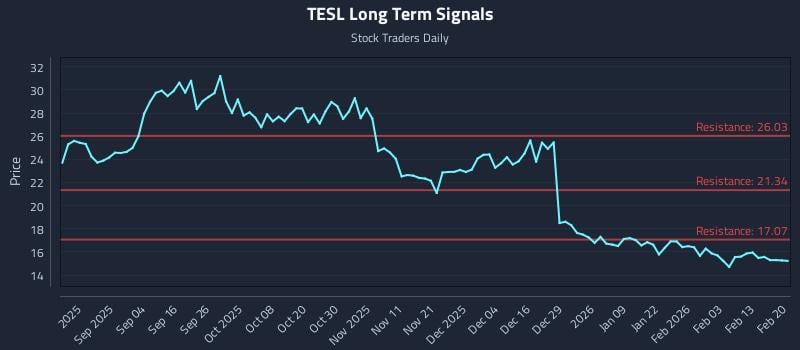 TESL Long Term Analysis for February 21 2026