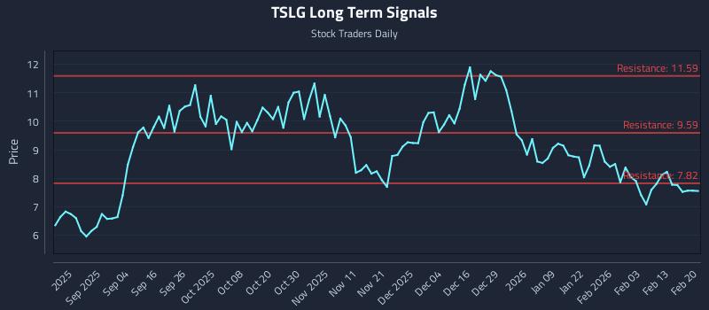 TSLG Long Term Analysis for February 21 2026 TSLG Long Term Analysis for February 21 2026