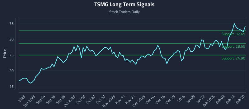 TSMG Long Term Analysis for February 21 2026 TSMG Long Term Analysis for February 21 2026