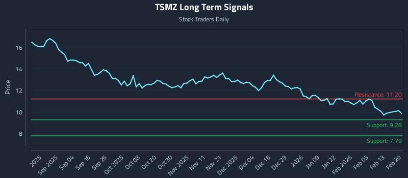 TSMZ Long Term Analysis for February 21 2026