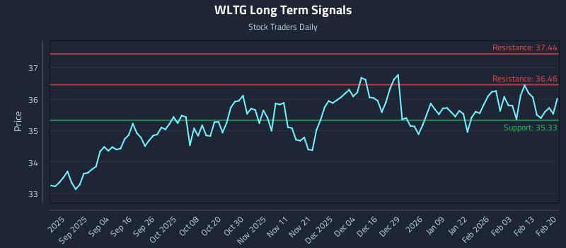 WLTG Long Term Analysis for February 21 2026
