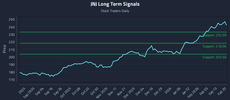 JNJ Long Term Analysis for February 22 2026