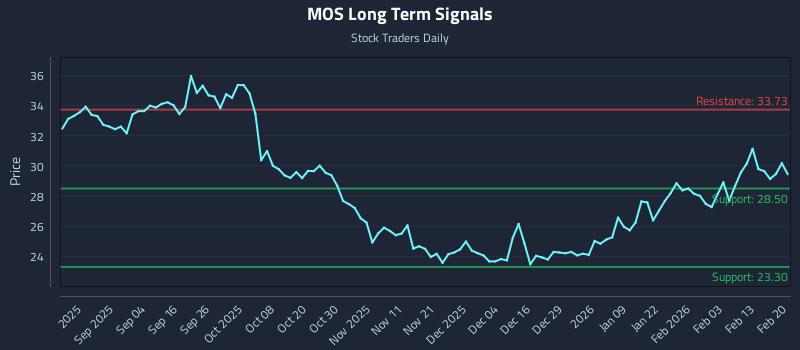 MOS Long Term Analysis for February 22 2026 MOS Long Term Analysis for February 22 2026