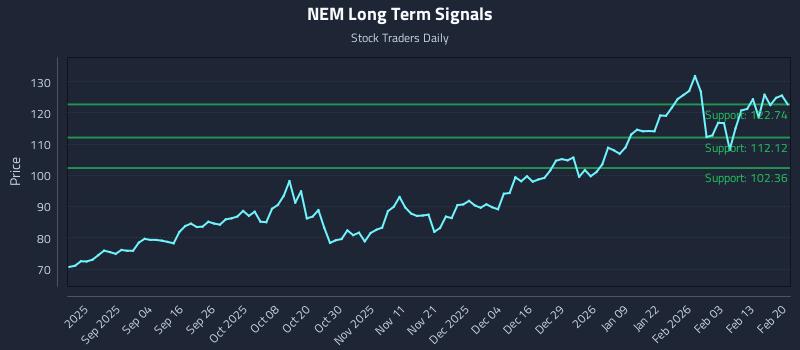 NEM Long Term Analysis for February 22 2026