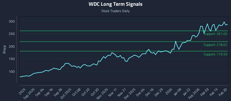 WDC Long Term Analysis for February 22 2026