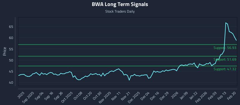BWA Long Term Analysis for February 22 2026