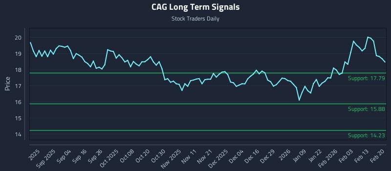 CAG Long Term Analysis for February 22 2026