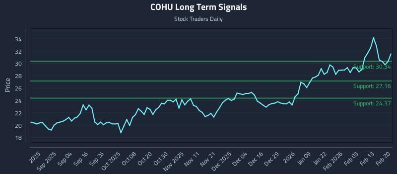 COHU Long Term Analysis for February 22 2026