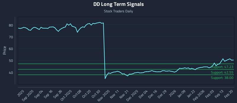 DD Long Term Analysis for February 22 2026