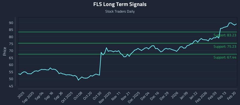 FLS Long Term Analysis for February 22 2026