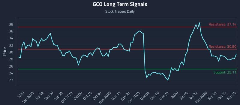 GCO Long Term Analysis for February 22 2026