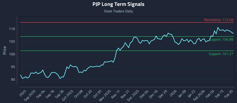 PJP Long Term Analysis for February 22 2026 PJP Long Term Analysis for February 22 2026